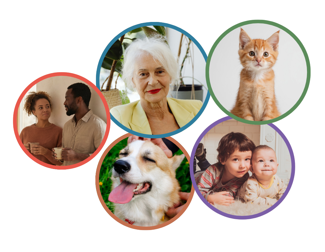 PillCaddy household collage